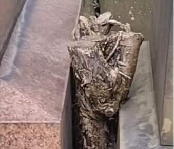 Tree root causing the monument to lean